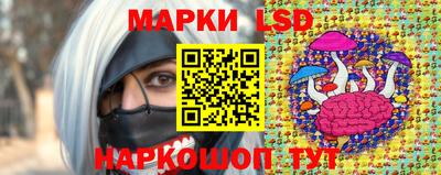 индика Беслан