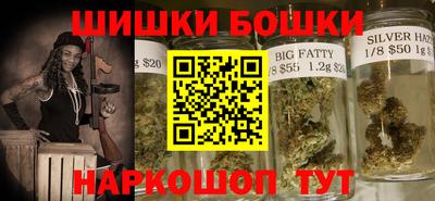 индика Беслан