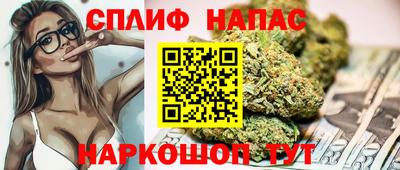 индика Беслан