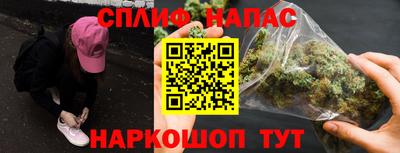индика Беслан