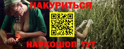 индика Беслан