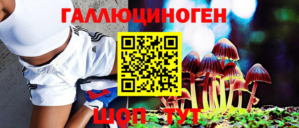 магазин    Галлюциногенные грибы Cubensis  Клинцы  Вход с VPN  Псилоцибиновые грибы мицелий 